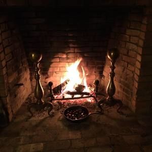 Meet your Posher, Steven